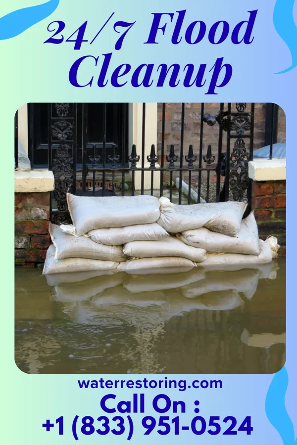 24/7 Flood Cleanup in Cook, MN