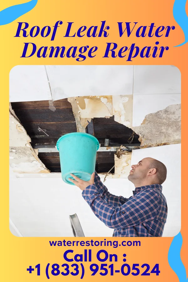 Roof Leak Water Damage Repair in Cook, MN